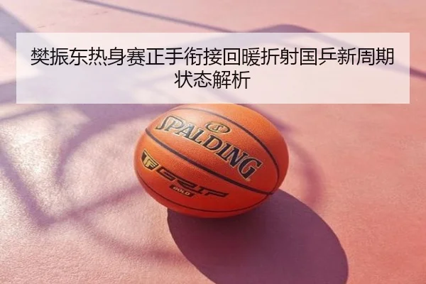 樊振东热身赛正手衔接回暖折射国乒新周期状态解析